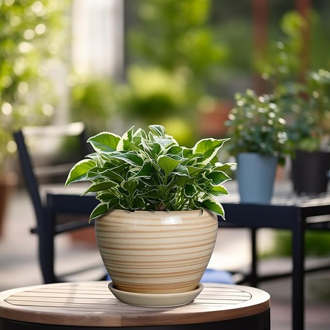 6 Inch Plant Pot Ceramic - Decorative Planter for Indoor Plants Succulent Pot with Drainage Hole and Saucer Round Planter Outdoor Flower Pot for House Patio Yellow