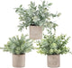 Der Rose 3 Pack Mini Potted Fake Plants Artificial Plastic Eucalyptus Plants Topiaries for Home Office Desk Farmhouse Shelf Room Bathroom Decor(Sage Green)