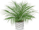 Hollyone Large Artificial Potted Plants Fake Palm Plants 16" Faux Green Plant Plastic Ceramic Tropical Palm Tree in Pots Bohemian for Home Room Office House Indoor Decorative