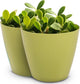 Headwind Charlevoix Planters– 4.5" 2 Pack Plastic Plant Pot in Meadow Green, Indoor & Outdoor Pots for Plants with Drillable Drainage Hole, Decorative Plant Pot, Flower Pots Outdoor for Garden