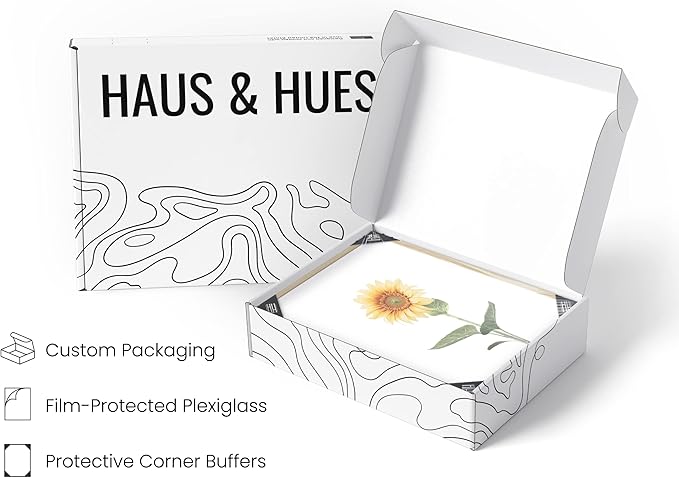 HAUS AND HUES Sunflower Set Collage 16x20 - Framed Beige