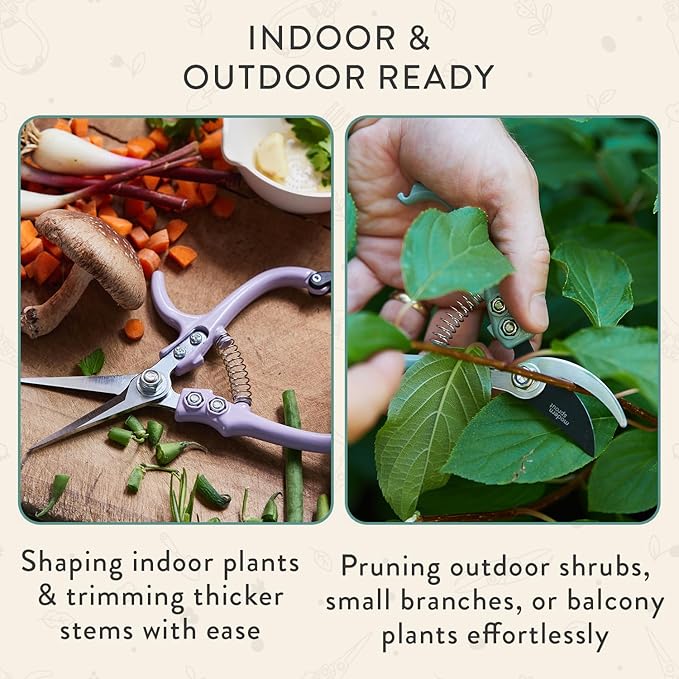 Modern Sprout Hand Pruners & Shears Set with Blister Pack - Lightweight Gardening Tools with Easy Lock - Sharp Carbon Steel Blades -Rust Resistant Scissors for Herbs, Flowers - Ocean