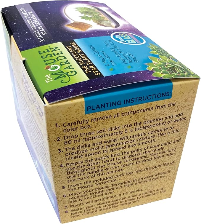 Grow Your Own Succulent Star Plant Mouse with Our Glass Terrarium Starter Kit - Fun and Easy to Grow with Complete Supplies - Plant A Mouse Garden That Will Last for Years - Great for Home Or Office