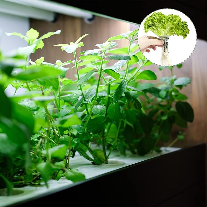 30 Pack Grow Sponges, Seed Pods Replacement Root Growth Sponges Compatible with AeroGarden, Moldy-Free, Kit with 10 Pod Labels for Hydroponic Indoor Garden System
