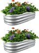 4x2x1 ft Galvanized Raised Garden Bed Outdoor, 2-Pack 12" Tall Metal Planter Boxes for Planting Vegetables, Flowers, Herbs, Tomato - Corrugated Rust-Resistant Elevated Garden Beds Kit, Silver