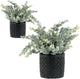 MyGift Artificial Eucalyptus Plant in Modern Gray Concrete Pots with Geometric Embossed Pattern (2, Black)