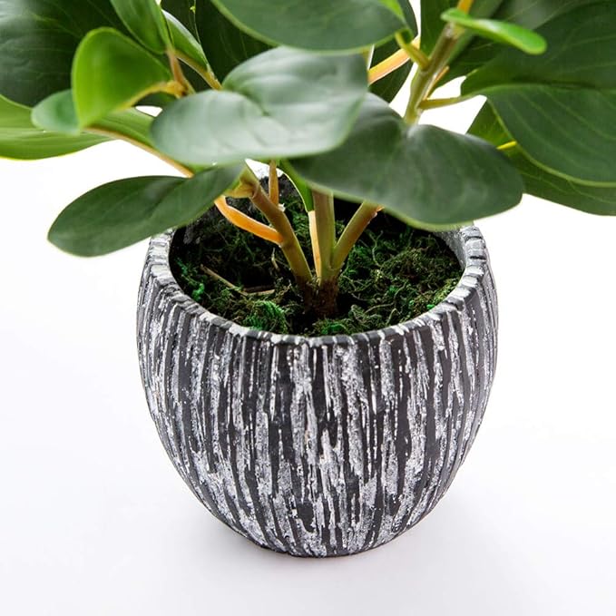 AlphaAcc Artificial Plants Real Looking and Touching Fake Plant Evergreen Plastic Fiddle Leaf Fig Plant with Rustic Black Cement Planter for Housewarming Office Desk Decor