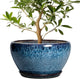 Ceramic Plant Pots 13 Inch - Indoor Planter with Drainage Hole and Saucer, Decorative Large Planter for Indoor Outdoor Plants, Ceramic Flower Pots, Gifts for Plant Lovers, House Decor, Blue