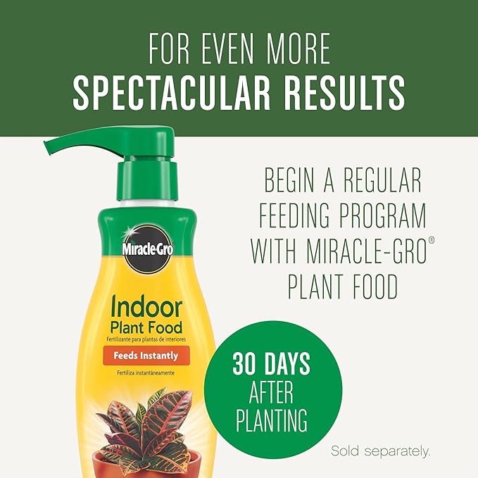 Miracle-Gro Houseplant Potting Mix: Fertilized, Perlite Soil for Indoor Gardening, Designed to Be Less Prone to Gnats, 4 qt.