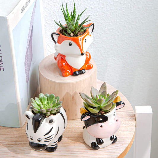 Cute Succulent Planter, Succulent Pots with Drainage Hole Flower Plant Pot
