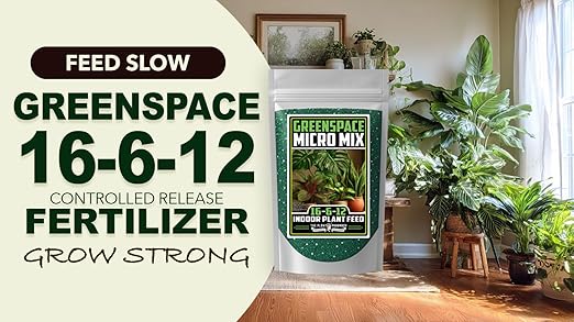 Fertilizer Commercial Grade | GreenSpace 16-6-12 | 3 Pounds | Custom Professional Plant Mix Blend | Indoor Foliage Feed | Controlled Release Granular | Low-Light Houseplants