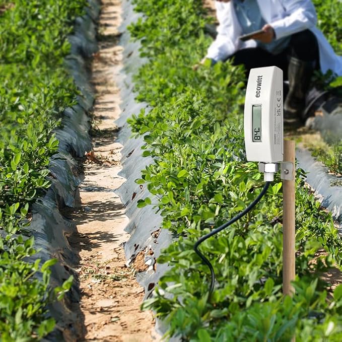 ECOWITT WH51L Soil Moisture Sensor with 1m/3.28ft PVC Wire Probe, LCD Display, Needs to Pair with Wi-Fi Gateway, 915 MHz