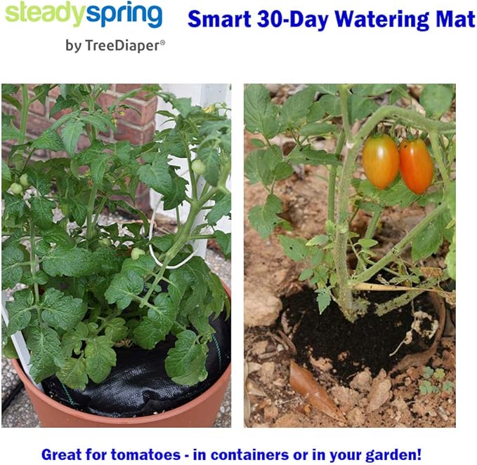 SteadySpring(R) Smart 30+Day Watering Mat Auto Refills with Rain for Tomato Plants, Peppers, Veggies, Perennials, Annuals in 1-2 Gallon Containers or with a 7 in to 10 in Root Ball (1)