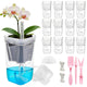 HITOSTAR 12 Pack 2 Inch Mini Clear Self Watering Pots for Indoor Plants, Small Plastic Planters with Drainage, Hydroponic Nursery Propagation Cups, for African Violet Alocasia Pot (2 Inch, 12Pack)