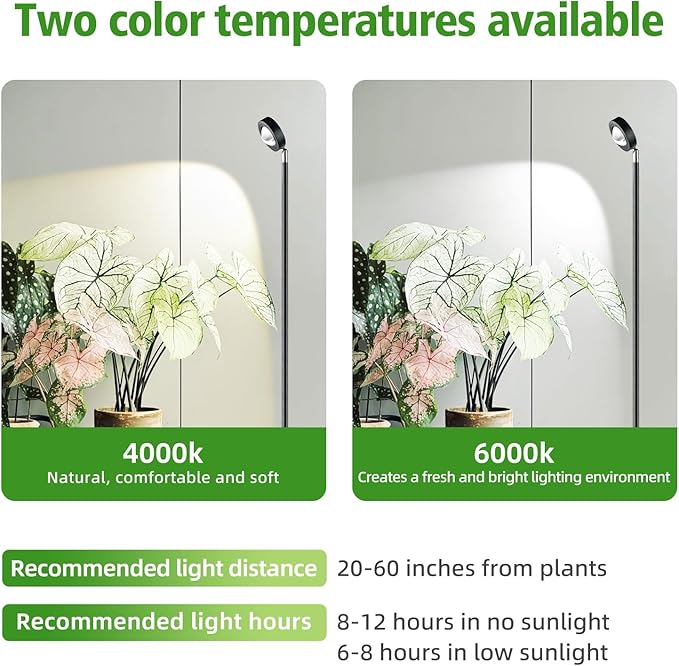 20W Full Spectrum Grow Light, 3000LM High PPFD&CRI COB LED Floor Lamp with 6/8/12H Timer, Adjustable Height (28"-83") & Angle, Grow Lights for Indoor Plants, Succulents & Flowers (4000K Warm White)