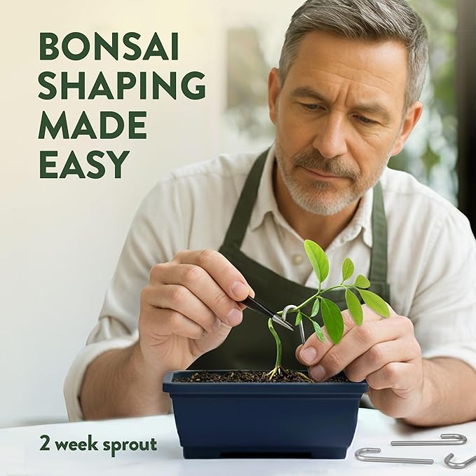 HOME GROWN Bonsai Tree Starter Kit – Unique Christmas Gift for Adults, Men, Women - Grow 4 Bonsais – DIY Crafts Hobby Gardening Kit for Plant Lovers, Mom, Dad - White Elephant Gifts for Adults