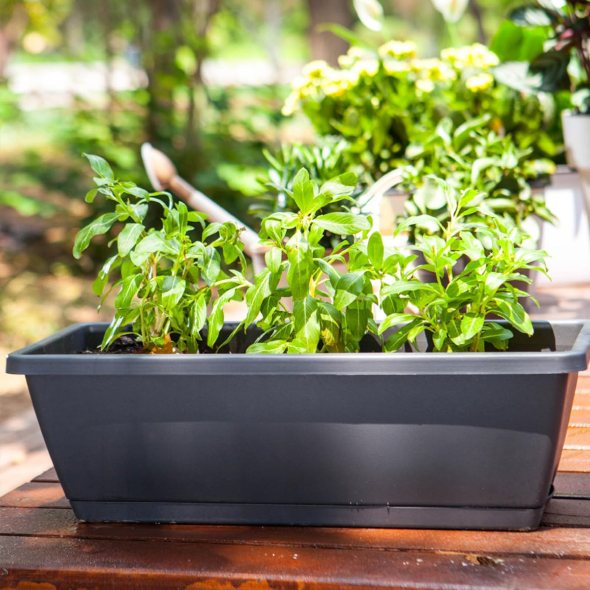 HAOHIZE Raised Garden Bed, Rectangular Plastic Planter Raised Beds Large Flower Vegetable Planters Boxes Thicken Planting Pots Plant Containers for Balcony Home Outdoor Window (8 L)