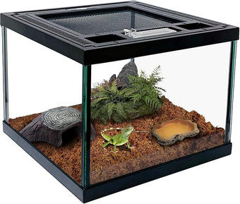 Mini Reptile Glass Terrarium Tank 8 * 8 * 6" Full View, Amphibians Box Habitat Enclosure Cage for Frog,Spiders,Dubia Cockroach,Praying Mantis,Cricket,Tarantula,Hermit Crab