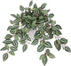 Briful Artificial Plants Indoor Fake Potted Silk Plants Faux Watermelon Peperomia Draping Plant for Home Office Bathroom Shelf Cabinet Tabletop Decoration(Purple)