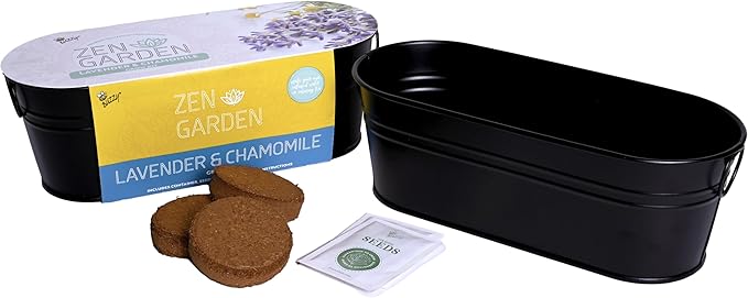 Buzzy Seeds Chamomile Lavender Seed Grow Kit, Wellness Inspired Mini Garden Windowsill Planter, Indoor Herb and Flower Starter Set, Gardening Gift for Her, Birthday Present for Gardeners