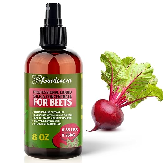 𝐏𝐑𝐄𝐌𝐈𝐔𝐌 Liquid Silica Plant Supplement - 8oz (250mL) - Beets Plants Liquid Silica Boost Fertilizer - Stronger Stems & Healthy Leaves for Indoor & Outdoor Beets Plants (Makes 45 Gallons)