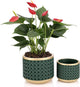 6&4.4 Inch Cement Planter Decorative Pots with Drainage Hole for All House Plants, Succulents, Flowers, and Cactus (Gold Green)