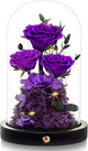DENIMOMO Flowers Roses Gifts for Women Her,Forever Preserved Rose in Glass Dome, Valentines Anniversary Birthday Real Roses Gifts for Wife Women Girlfriend Best Friend/Purple