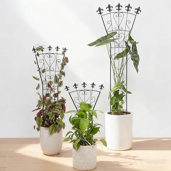 Heavy Duty Trellis for Potted Plants, 3-Pack, 24x12 Inches Elegant Metal Climbing Support for Monstera and Small Houseplants, Perfect Indoor & Outdoor Decoration for Home Garden and Balcony