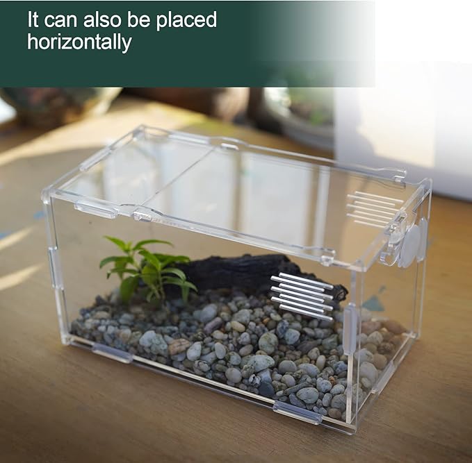 BETAZOOER Acrylic Mini Reptile Tank Habitat Transparent Terrariums with Locking Latch Suitable for Tarantula Isopod Roach Invertebrates (8''x6''x14'')
