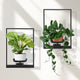 Wall Plant Holder Window Plant Shelves Set of 2, Wall Planters for Indoor Plants - Premium Metal Hanging Plant Holder for Indoor Outdoor Decor