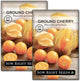 Sow Right Seeds - Ground Cherries Seeds for Planting - Non-GMO Heirloom Packet with Instructions to Plant an Outdoor Home Vegetable Garden - Mexican Husk Tomato - Endangered Variety (2)
