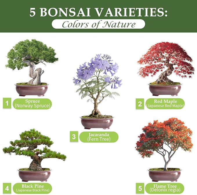 5 DIY Bonsai Tree Kit for Beginners, Complete Indoor Gardening Starter Kit with Seeds, Soils, Pots & Tools, Unique Birthday Gifts Ideas for Women, Men