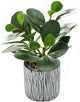 AlphaAcc Fake Plants Real Looking Greenery Artificial Plants Indoor Potted Plant with Rustic Black Clay Planter for Farmhouse Bathroom Bedroom Kitchen Office Table Decor 8"