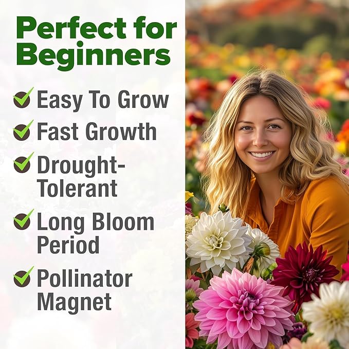 HOME GROWN USA Premium Zinnia Dahlia Seeds Pack for 2026,1048 Non-GMO Flower Seeds, Vibrant Zinnia Elegans for Planting Pollinator Gardens, Borders & Containers, Easy-to-Grow Outdoor Blooms