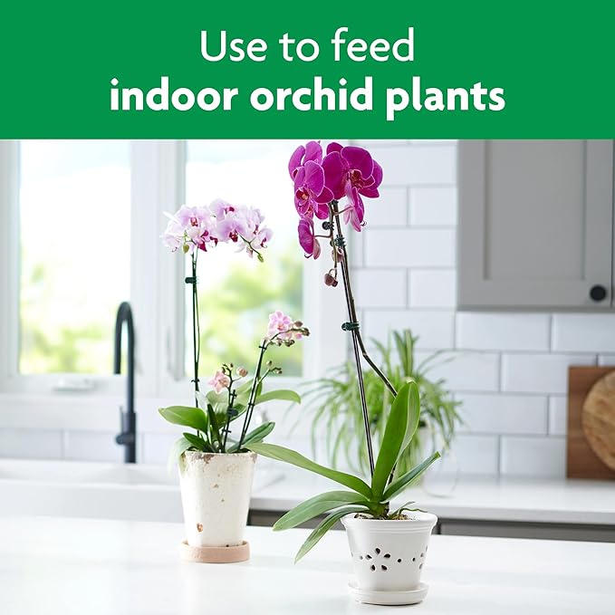 Miracle-Gro Ready to Use Orchid Plant Food Mist, Indoor Orchid Plants, 8 oz, 3-Pack