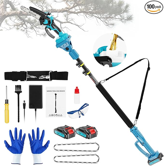 2-in-1 Cordless Pole Saw＆6 Inch Mini Chainsaw,with Extension Pole,Adjustable 180° Cutting Angle with 2 Battery, Auto-oil,Pole Saws for Tree Trimming,Ideal Gifts for Men Dad