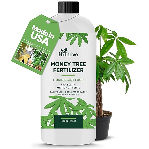 16oz Money Tree Plant Indoor Fertilizer - Makes 96 Gallons of Money Tree Fertilizer - Nutrient-Rich Plant Food with Macro & Micronutrients for Glossy Leaves, Strong Roots, and Lush, Tropical Growth