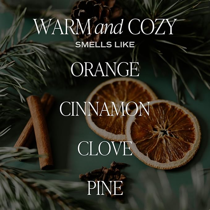 Sweet Water Decor Warm and Cozy Reed Diffuser Set - Orange, Cinnamon, Clove, and Pine Fall and Winter Scented Diffuser - Scent Diffusers for Home, Long Lasting Fragrance, Made in The USA