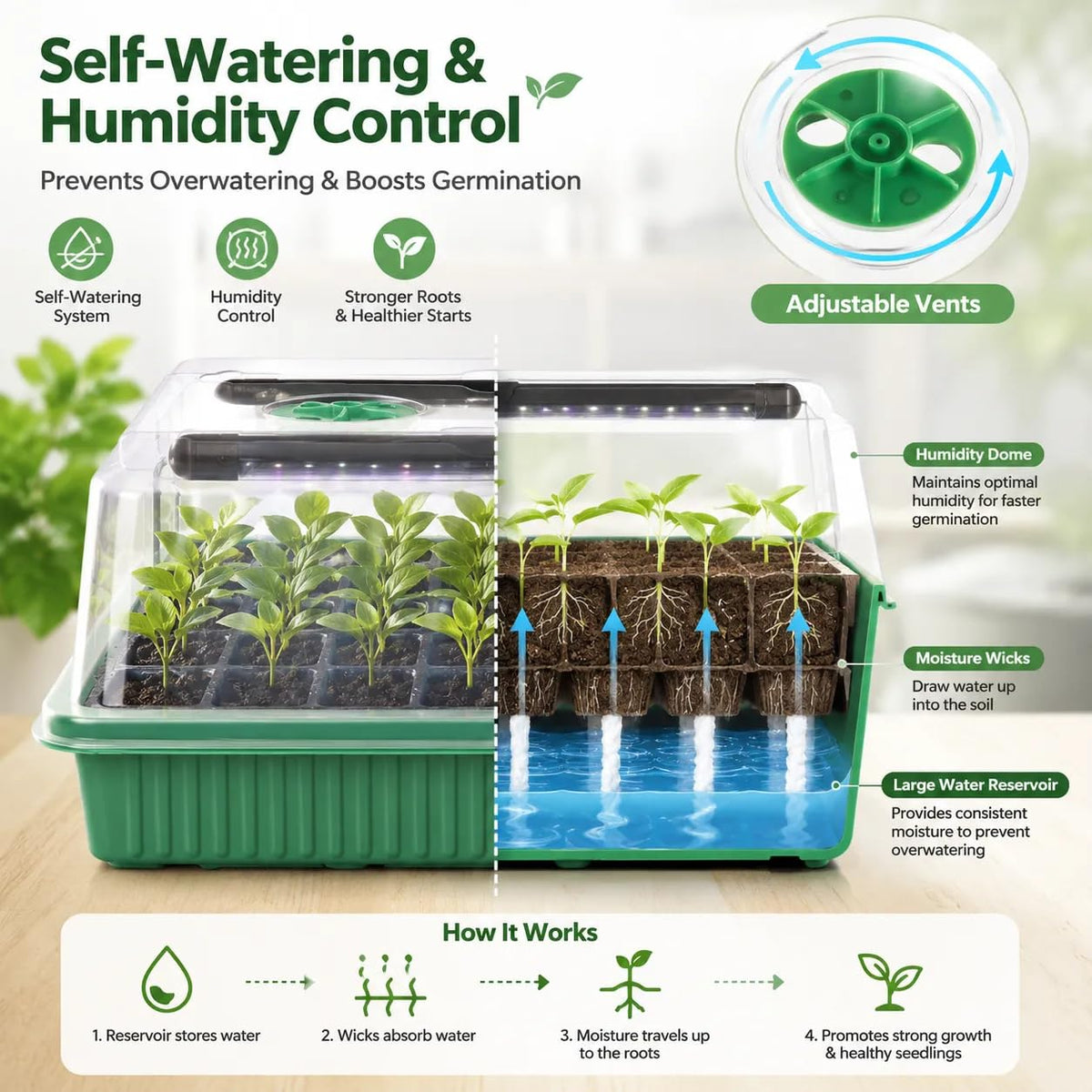 Seed Starter Tray with Timed Grow Light, 2 Pack 80 Cells Plant Starter Tray Seedling Starter Kit with Humidity Domes Base Indoor Mini Greenhouse Plant Germination Trays for Seeds Growing Starting