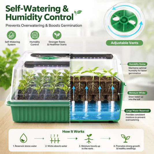 Seed Starter Tray with Timed Grow Light, 2 Pack 80 Cells Plant Starter Tray Seedling Starter Kit with Humidity Domes Base Indoor Mini Greenhouse Plant Germination Trays for Seeds Growing Starting