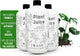Elm Dirt Plant Juice Organic Fertilizer for All Purpose Plants - Plant Food Indoor House Plants | Liquid Plant Food Outdoor & Indoor Plant Fertilizer for Vegetables, Succulents & Hydroponics, 3Bottle