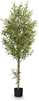 Maia Shop 5ft Artificial Olive Tree Plant for House, Apartment or Office – Realistic Fake Indoor Plants for Living Room, Kitchen, Bedroom, Entryway or Bathroom – Faux Greenery for Home Décor