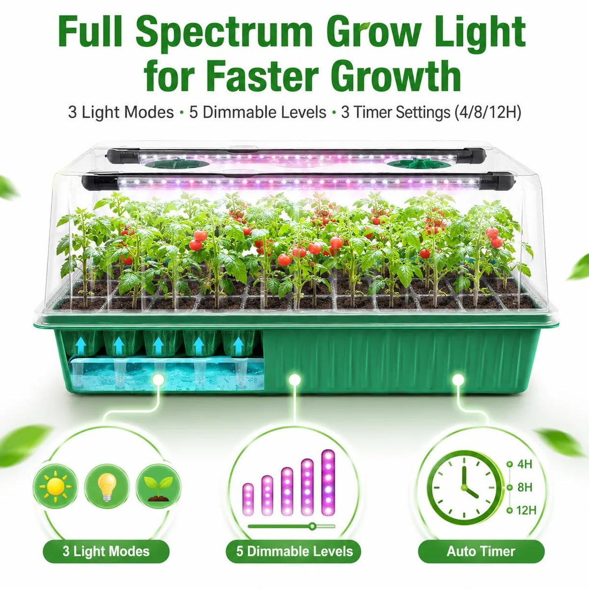 Seed Starter Tray with Timed Grow Light, 2 Pack 80 Cells Plant Starter Tray Seedling Starter Kit with Humidity Domes Base Indoor Mini Greenhouse Plant Germination Trays for Seeds Growing Starting