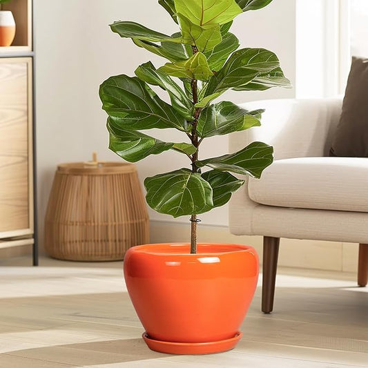 Indoor Plant Pot 8 Inch - Ceramic Plant Pot with Drainage Hole and Saucer, Glaze Decorative Modern Round Planter for Outdoor Plants, Housewarming Gifts, Office Home Garden Decor, Orange