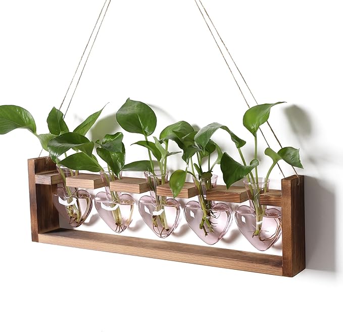 Plant Terrarium Hanging Propagation Stations Gift for Women Air Plants Holder with Wooden Stand Heart Glass