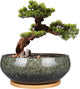 EPFamily 8 Inch Ceramic Bonsai Planter Pot, Glazed Shallow Succulent Planter with Drainage Hole and Bamboo Saucer for Indoor Plants, Brown