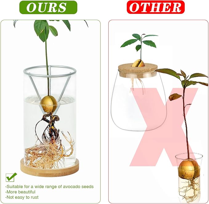 Bylion Avocado Tree Growing Kits, Avocado Growing Vase Wooden Base Avocado Seed Starter Vase Glass Plant Pot Easy Seed Sprout Starter Gift for Women Gardening Lovers Home Office Table Decoration