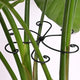 Black Monstera Plant Support Hook - 6.5 * 6.5IN -5 Piece Set, Durable Metal Stem Supports for Indoor Plants, Leaf Holder & Fishbone Cactus Stake, Stylish Design for Healthy Growth & Easy Care
