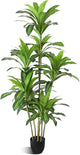 Waoops Artificial Plants 6Ft Dracaena Fragrans Faux Trees with 8 Heads Fake Tree for Home Decor Indoor or Outdoor Office Decoration Housewarming Gift