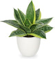 Hollyone Artificial Snake Plants 9" Faux Agave Succulent Plant Potted in White Pot Fake Sansevieria Aloe Tropical Plant for Desk Modern Office Home Bathroom Indoor Outdoor Decor